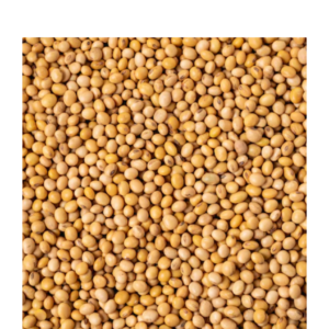 Soybean Meal