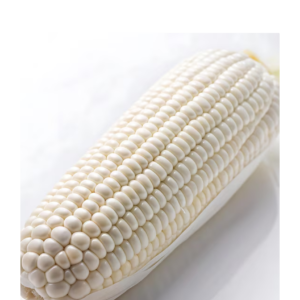 White Corn WM Grade 1