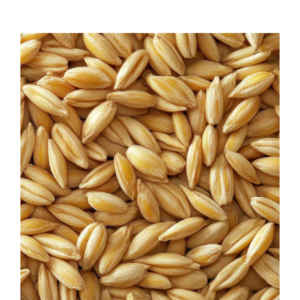 Wheat